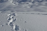 34 Bello anche se faticoso camminare affondando un po' nella neve